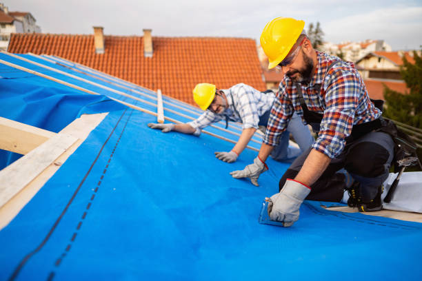 Quick and Trustworthy Emergency Roof Repair Services in Dovesville, SC